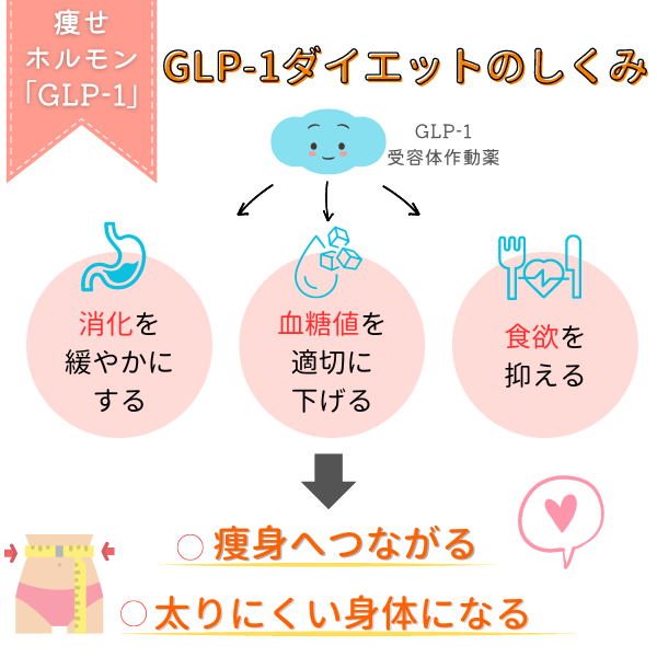 GLP-1ダイエットのしくみ