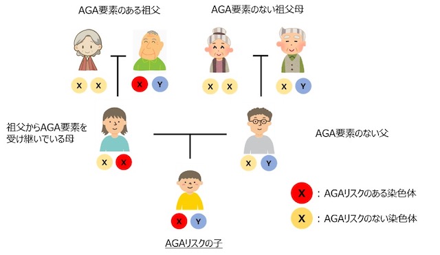 遺伝　家系図
