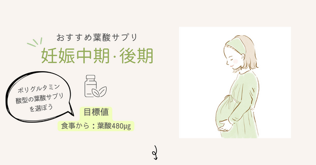 妊娠中期・後期の葉酸サプリ